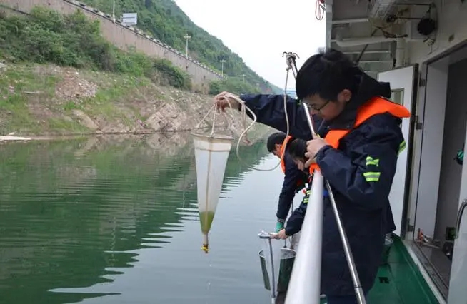 Environmental sampling team leader