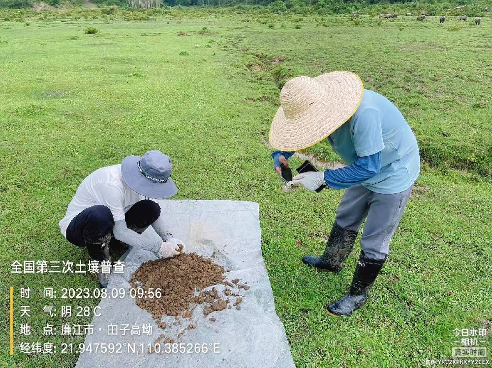 天鉴检测承担茂名市电白区第三次全国土壤普查内业检测任务