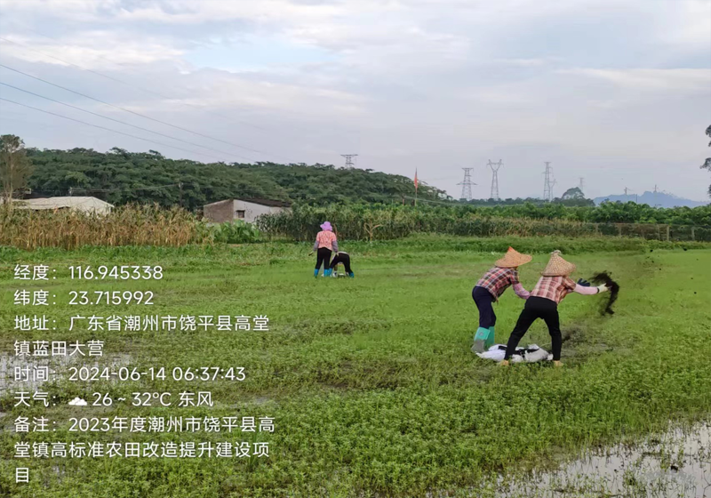 农业技术服务之地力提升服务