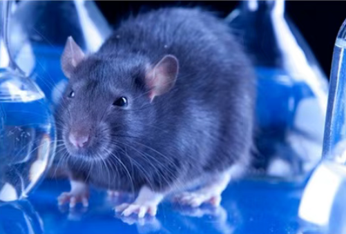 1776128953198022.png image.png